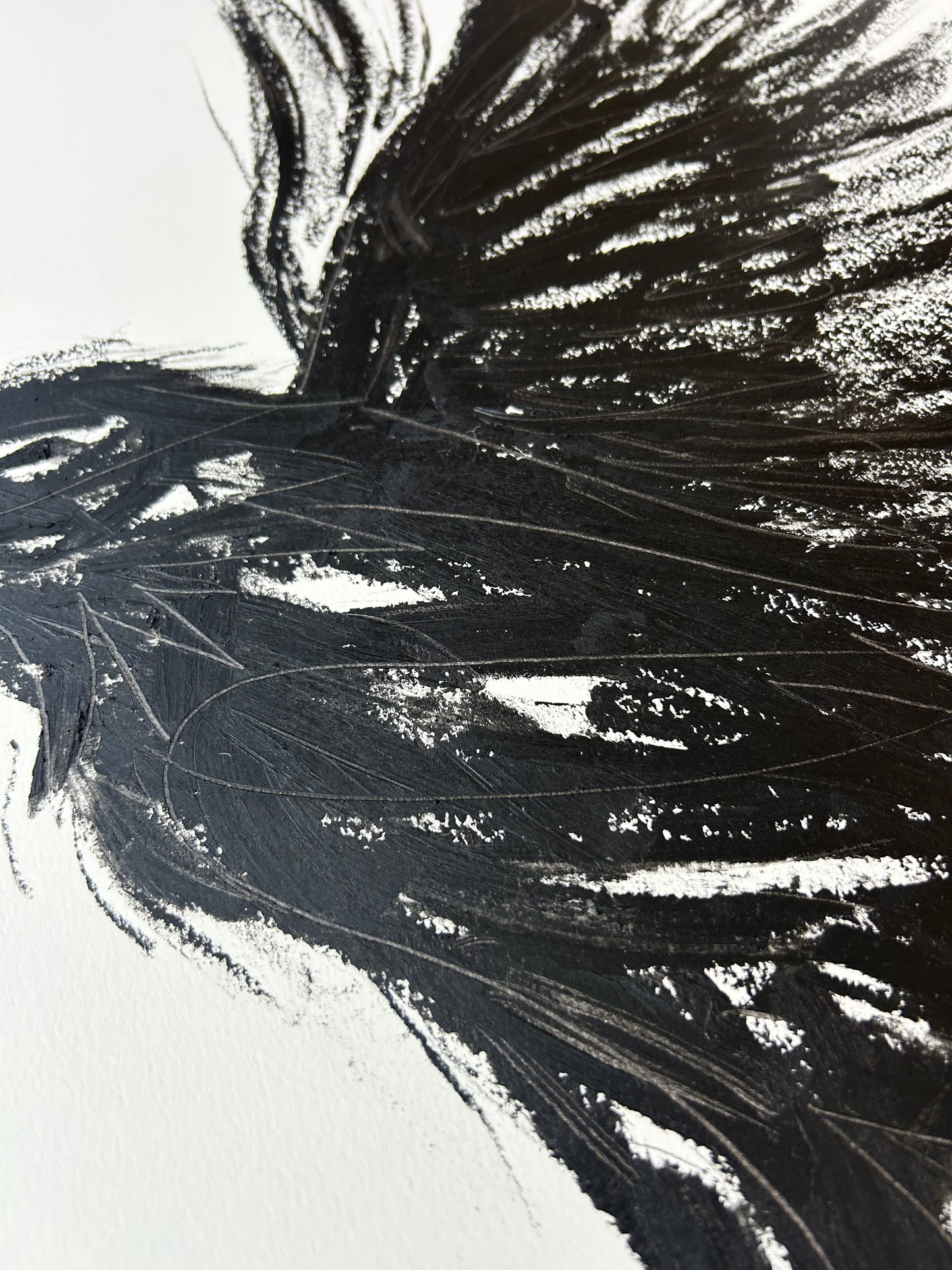 Landing Crow II (Original Artwork)