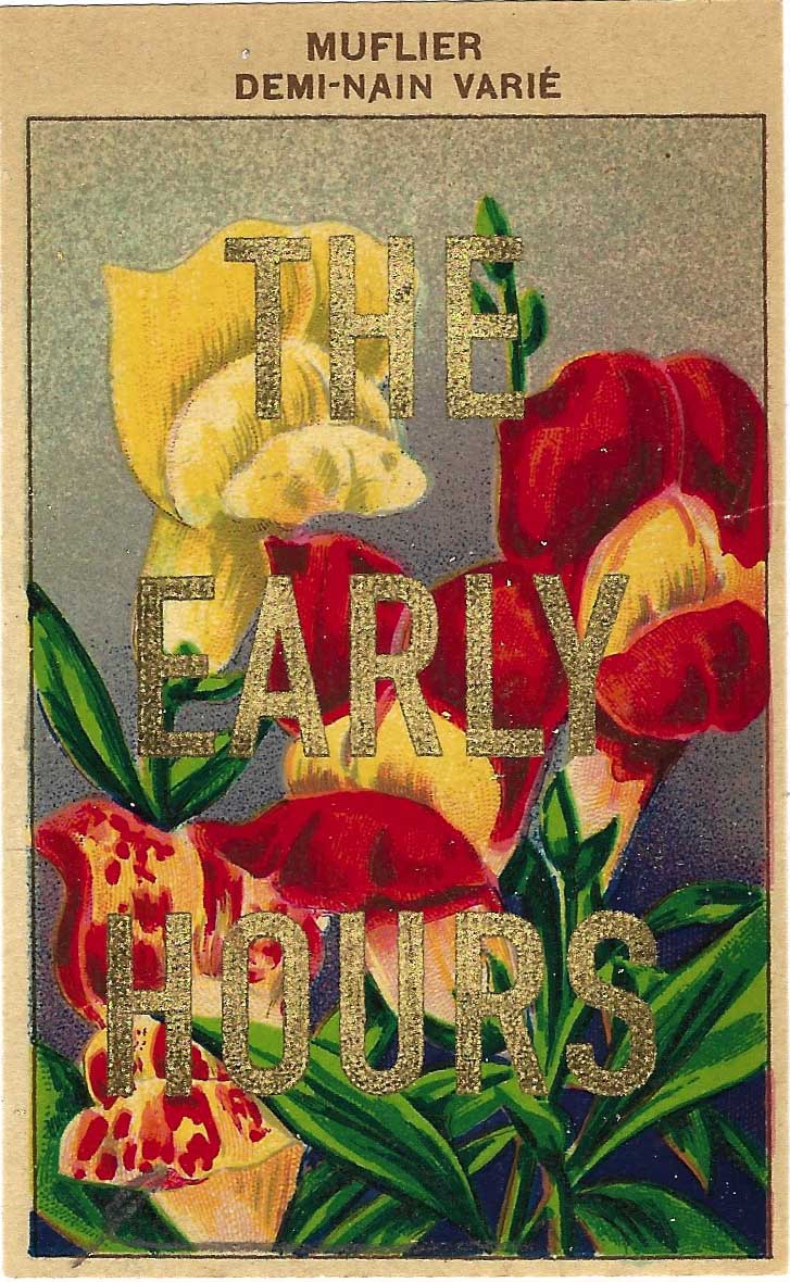 Muflier - The Early Hours