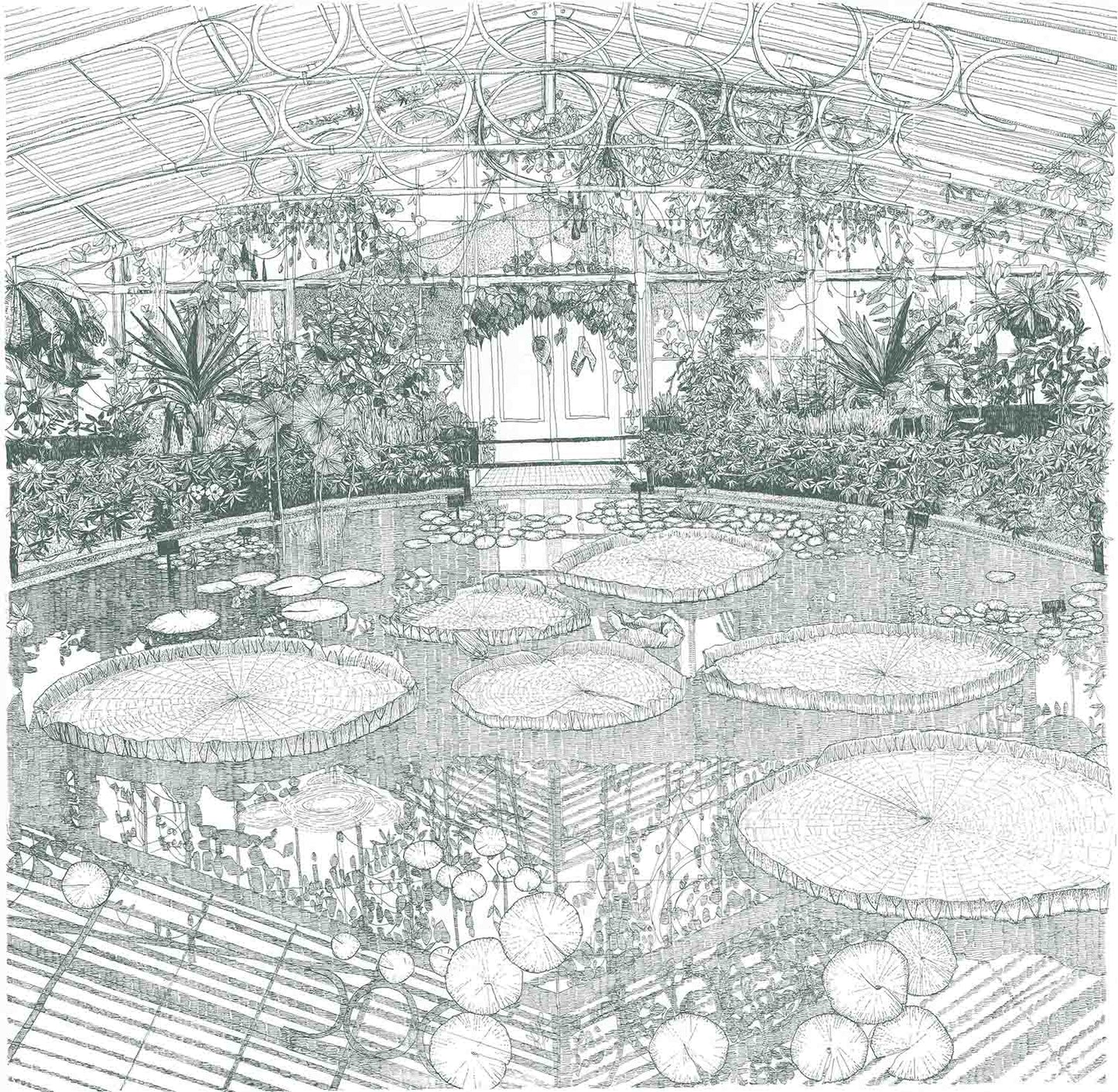 Greenhouse - House of Waterlily