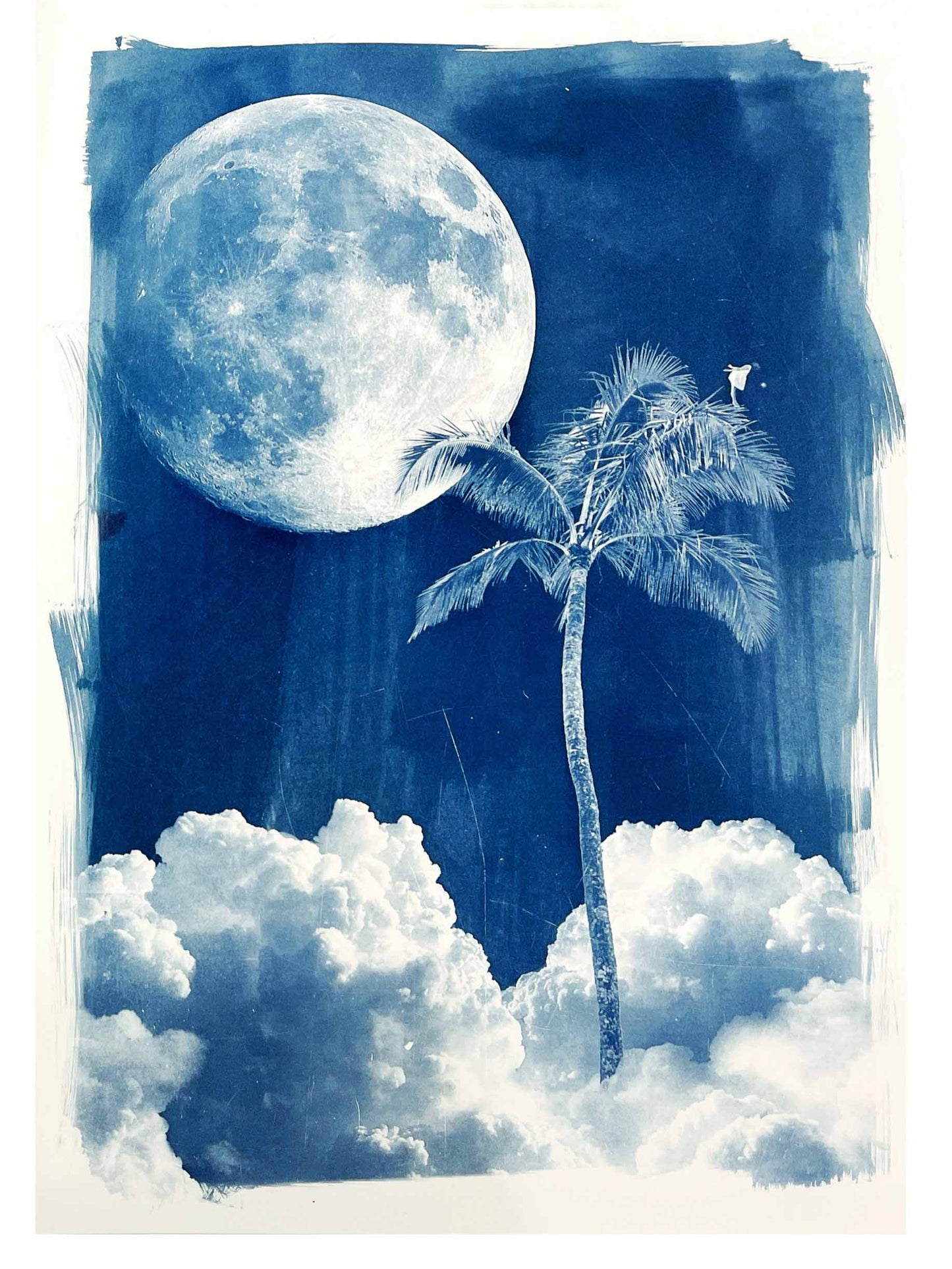 Moon Palm
