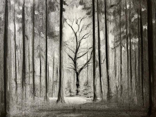 Oak Amongst The Pines