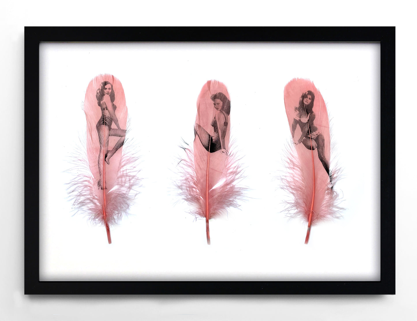 Wild Things- Dusty Pink Feathers