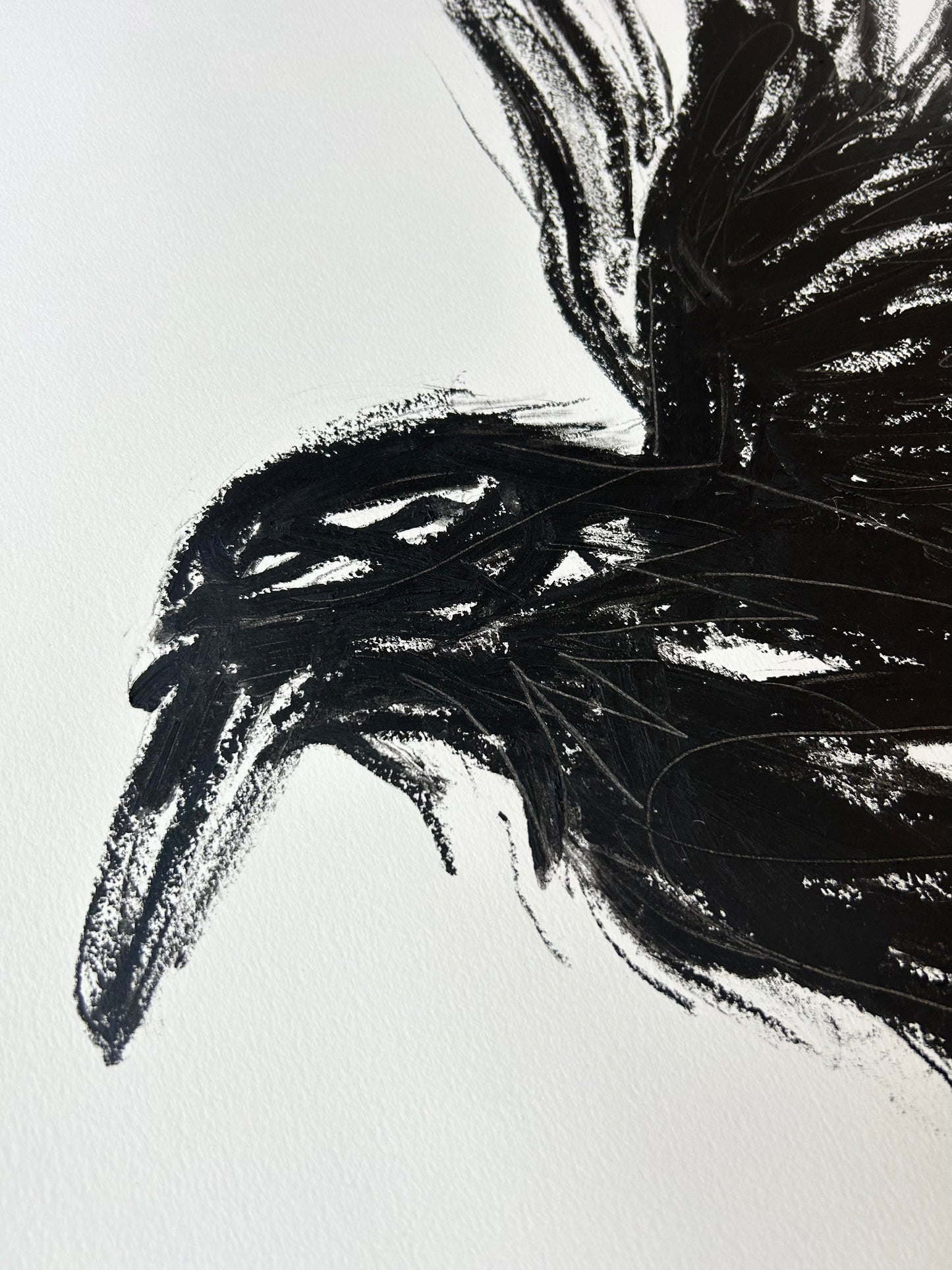 Landing Crow II (Original Artwork)