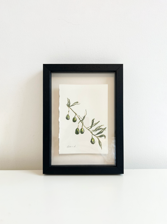 Postcard from Sardinia- Olive Branch