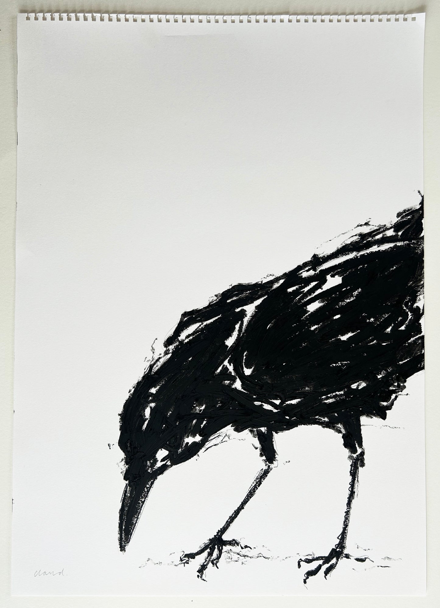 Pecking Crow Study