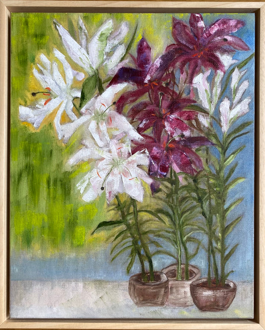 Tree Lillies At Dawn