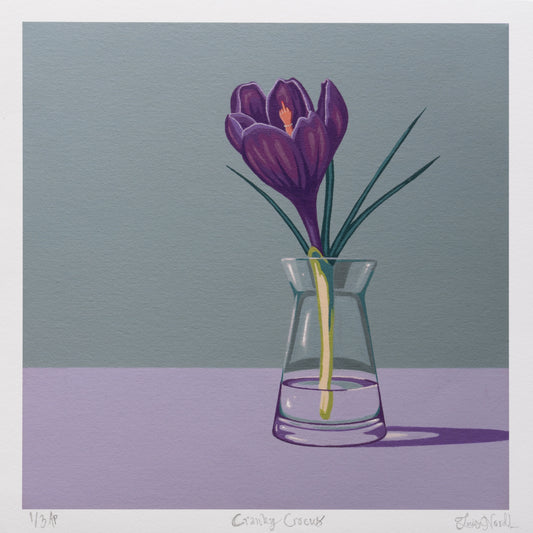 Cranky Crocus