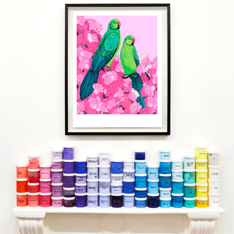 Rose Ringed Parakeets in Pink (Print)