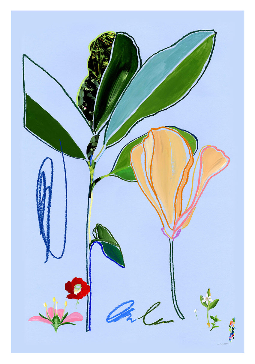 Iceland Poppy (Original Artwork)