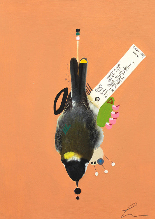 Great Tit (See-Saw) (Original Artwork)