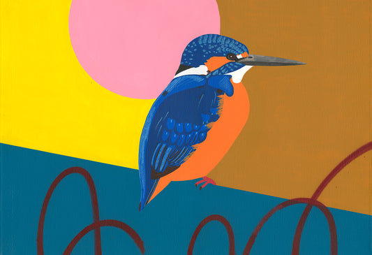 Kingfisher (Ripple)