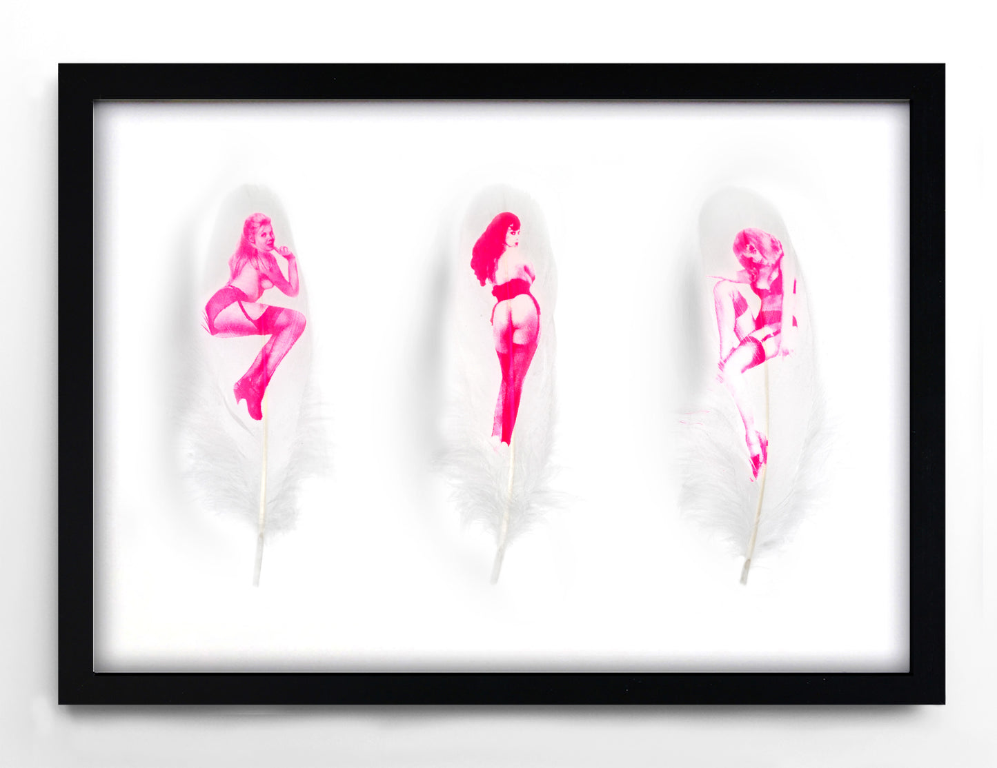 Minxes- Fluoro Pink Feathers