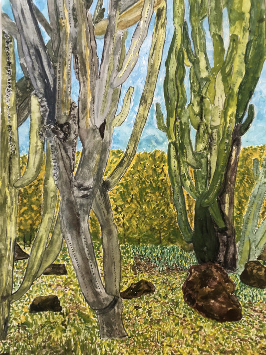 Cactus World