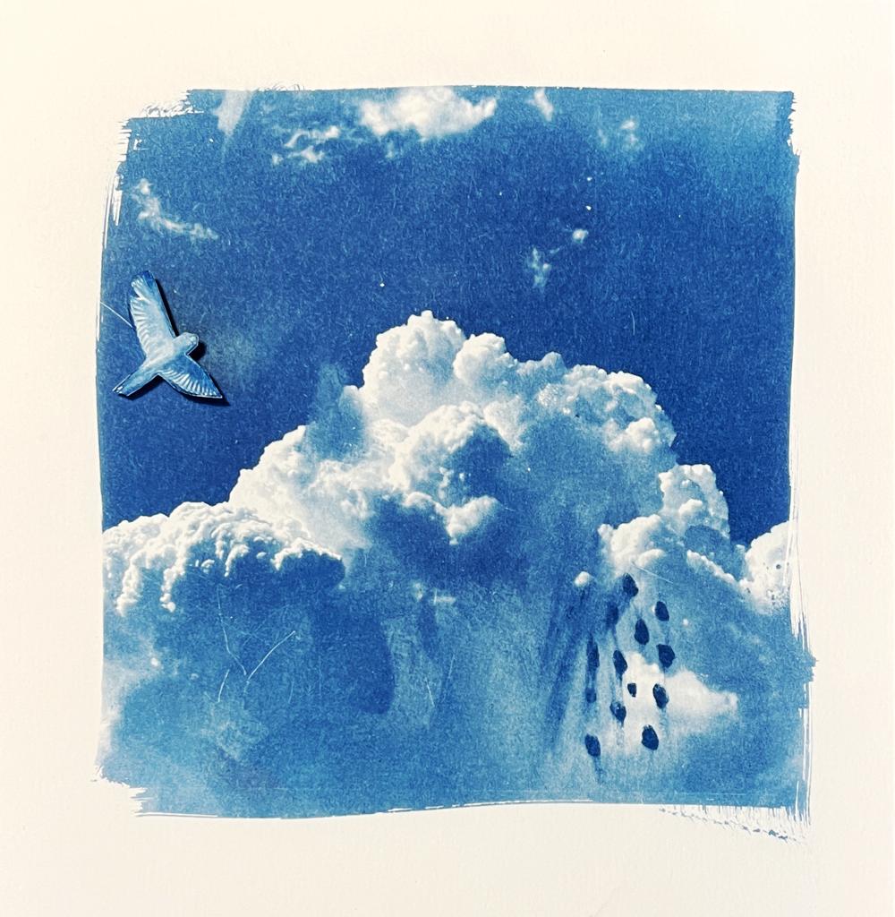 Small Sky with Birds #1