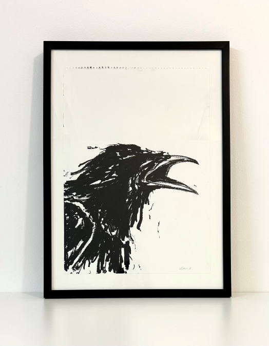 Squawking Crow