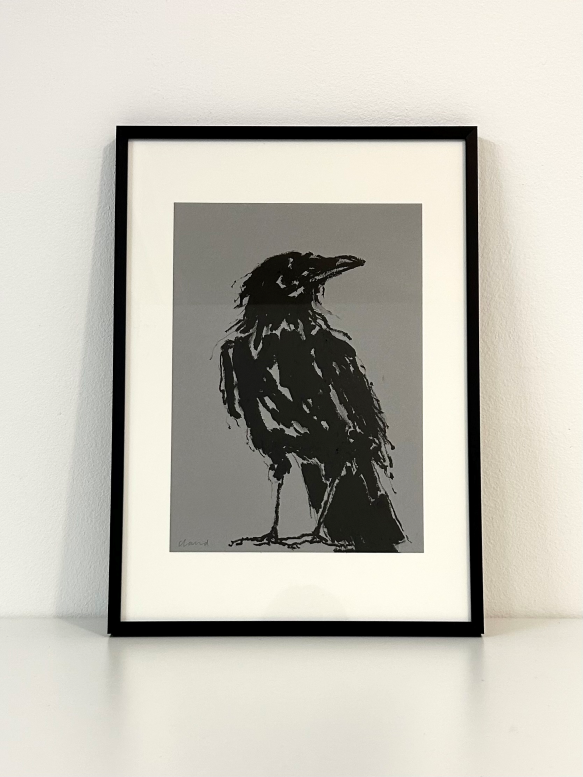 Looking Crow Grey