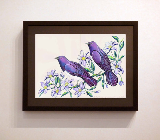 Amethyst Starling and Clematis
