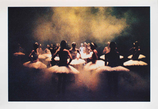 Swan Lake / Sanne Glasbergen