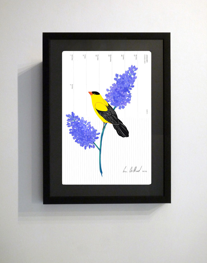 American Goldfinch and Lilac